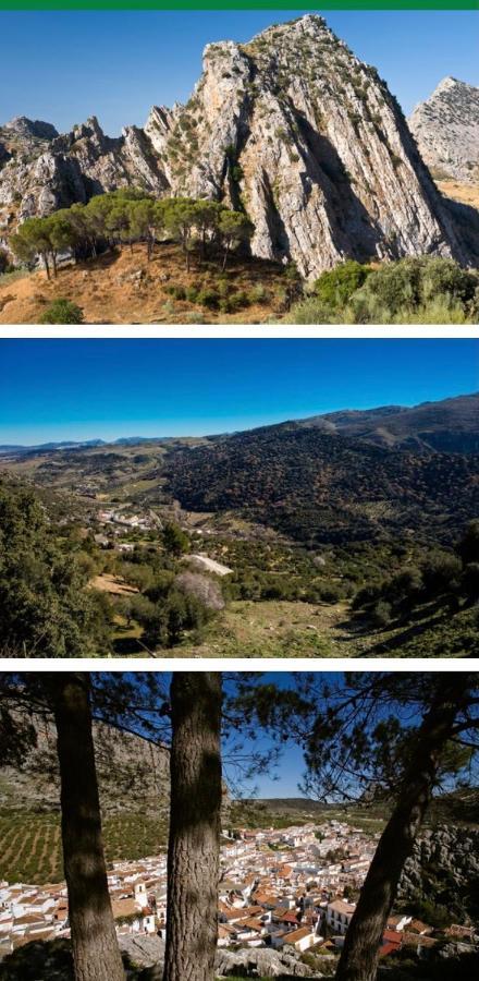 Hotel Rural Palacete De Manara 몬테하케 외부 사진